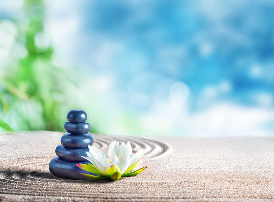 Creating a Zen Garden with Minimalist Design