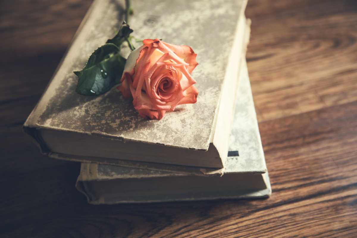 8 Novels That Will Make You Believe in the Power of Love